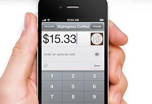 paypal-pago-seguro